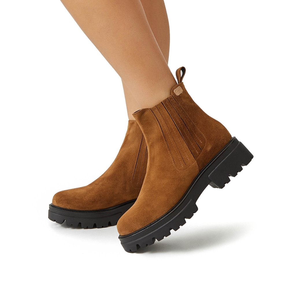 2652 Botí Muntanya Marró