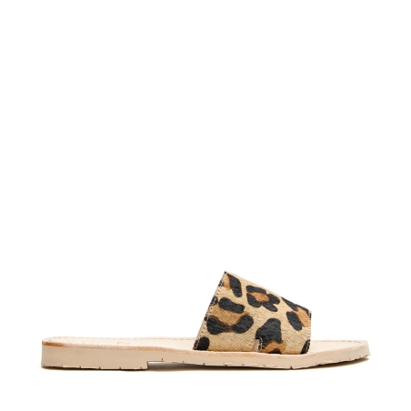 2703 A Rueda Animal Print