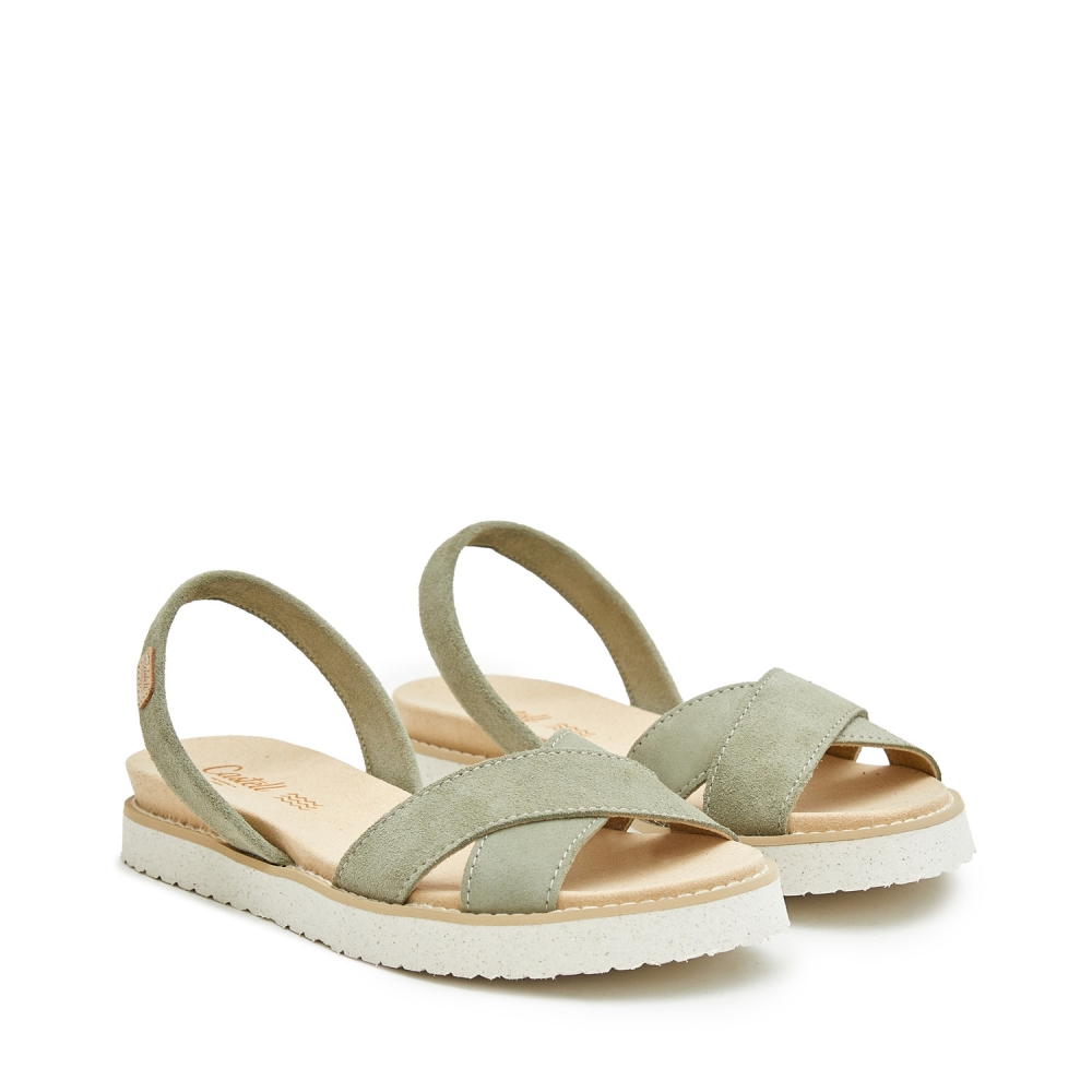 1882 Dora Luis Verde